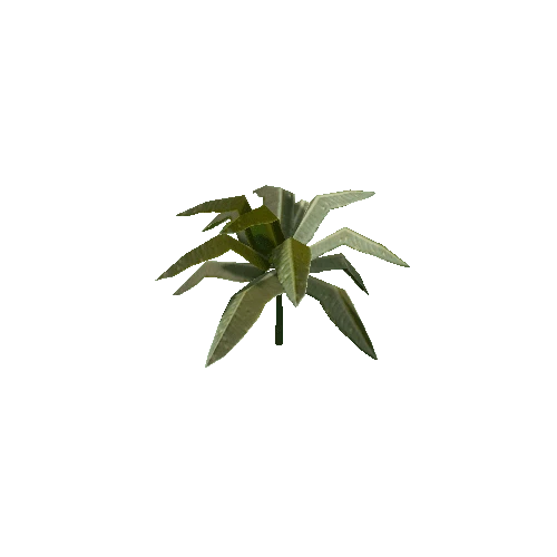 Tropical Plant 2 (Type 1)